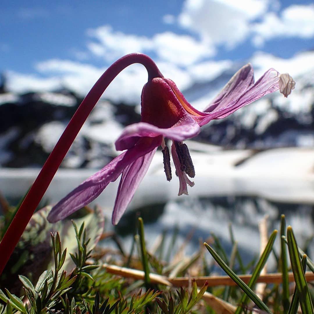 Aventura en el Pirineo