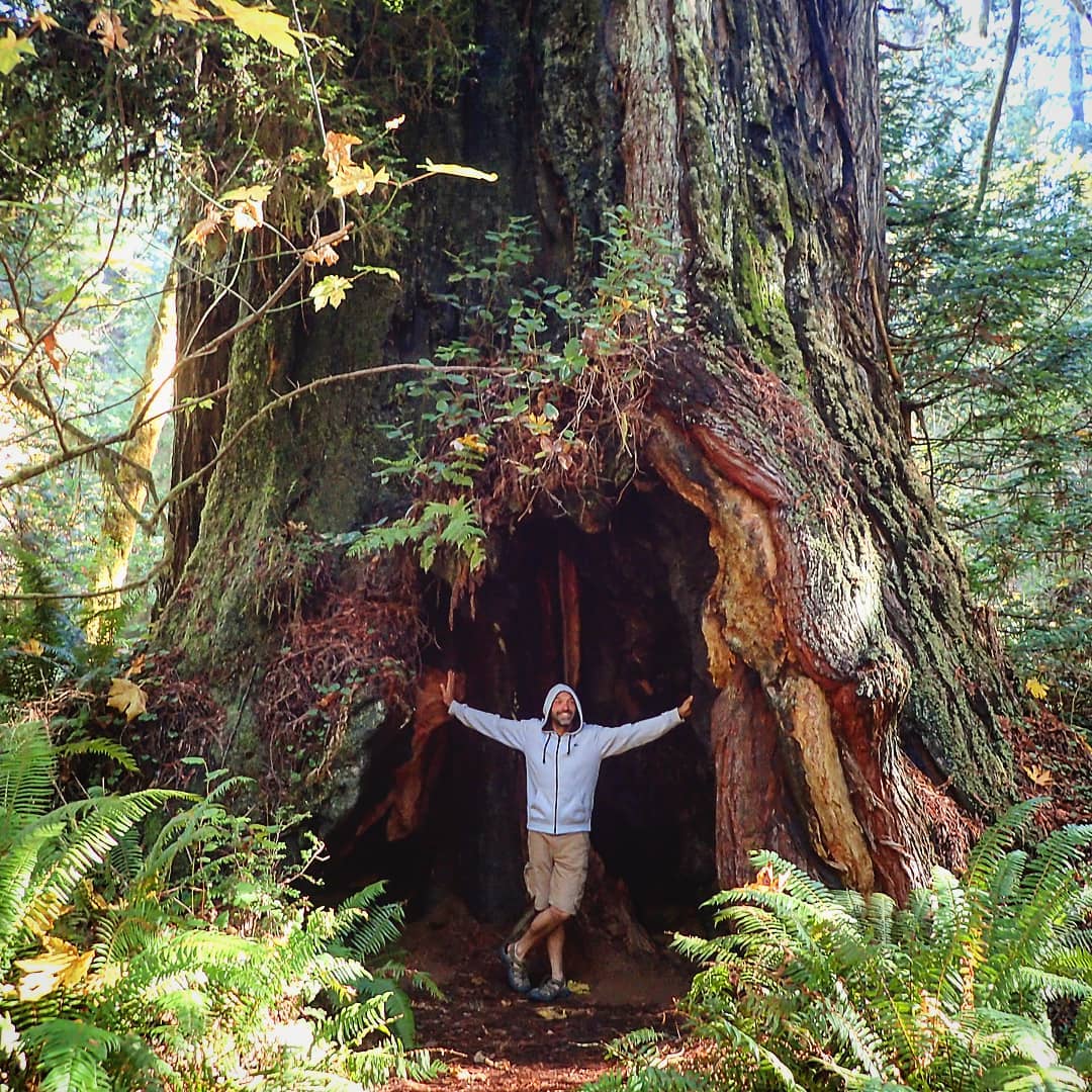 Jose Luis Bartolome en arbol
