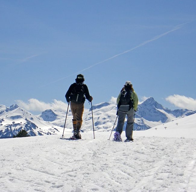 Raquetas por la nieve